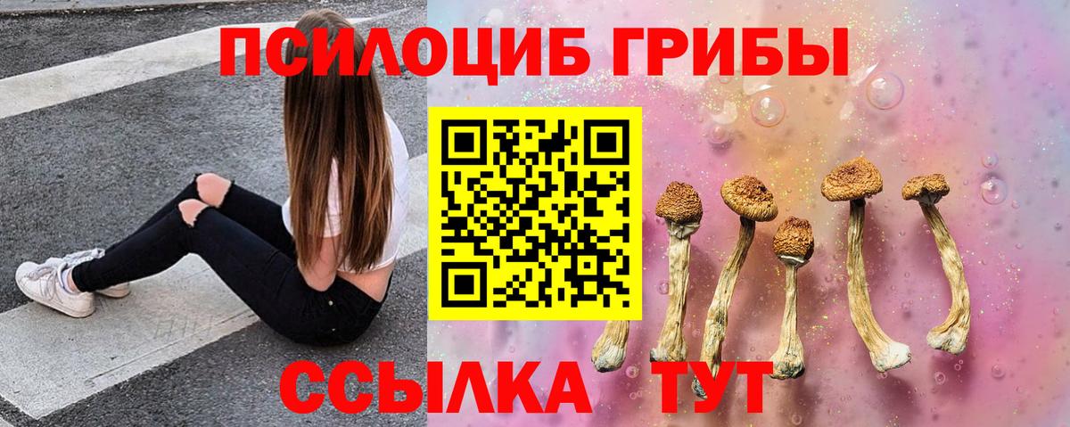 Горно-Алтайск  дарнет шоп  Псилоцибиновые грибы MAGIC MUSHROOMS  Вход с VPN  Псилоцибиновые грибы Psilocybine cubensis 