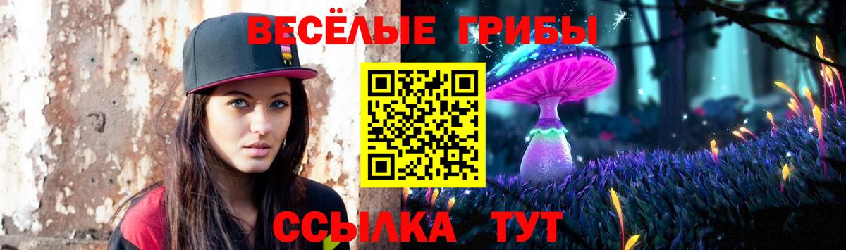 Галлюциногенные грибы Psilocybine cubensis Горно-Алтайск
